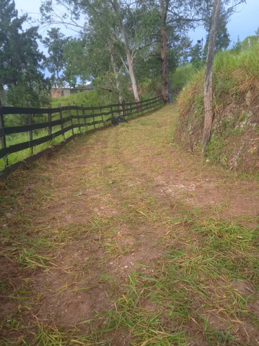 Finca Agrícola, En El Estado Miranda Fp