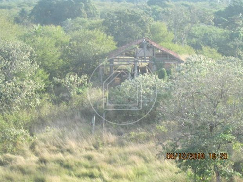 Imagem 8 de 12 de Terreno - Ref: 828091