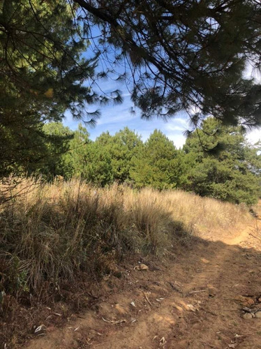 Imagen 7 de 24 de Terreno En Venta En Amanalco De Becerra, Amanalco, Edo. De México.