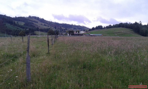 Imagen 14 de 15 de Fincas En Venta
