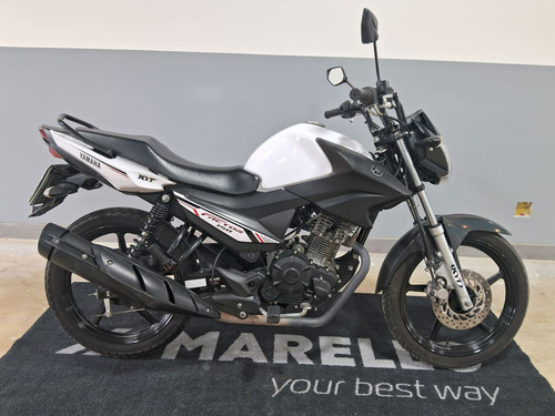 Yamaha Ybr Ybr 150 Factor Ed/flex 2023/2023