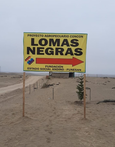 Imagen 6 de 19 de Lotes Económicos Buen Lugar