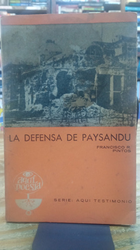 La Defensa De Paysandú