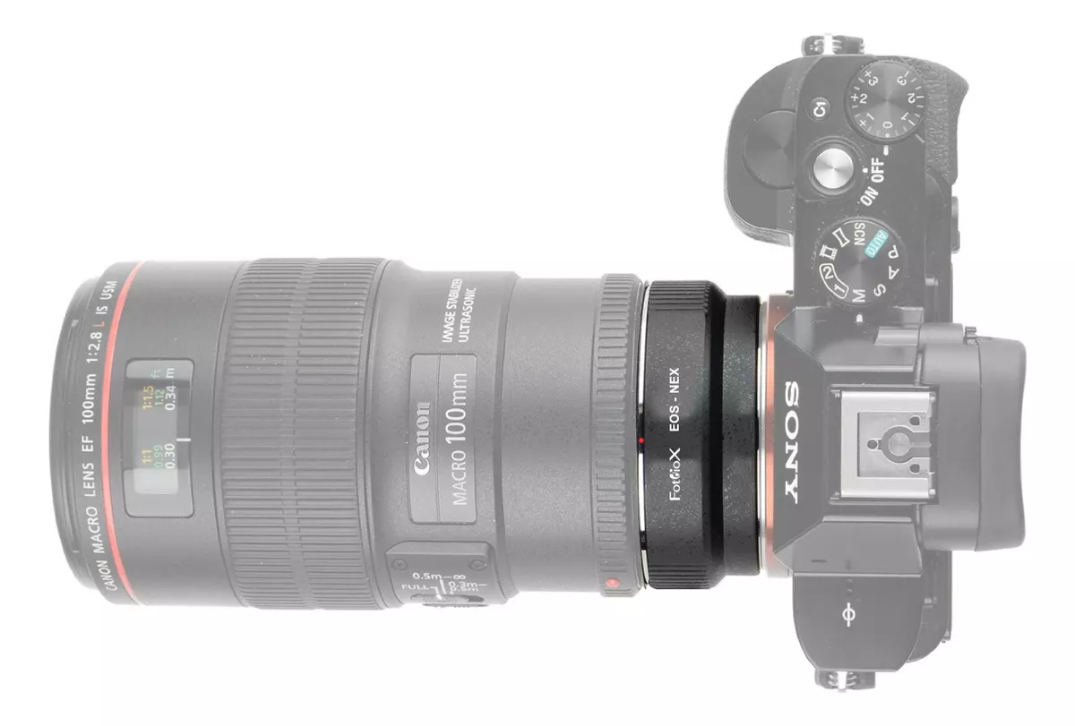 Terceira imagem para pesquisa de adaptador sony e mount canon