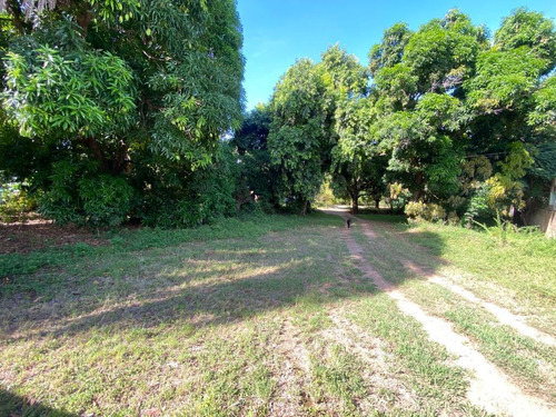 Imagen 3 de 9 de Se Vende Terreno 6257m² Nueva Esparta