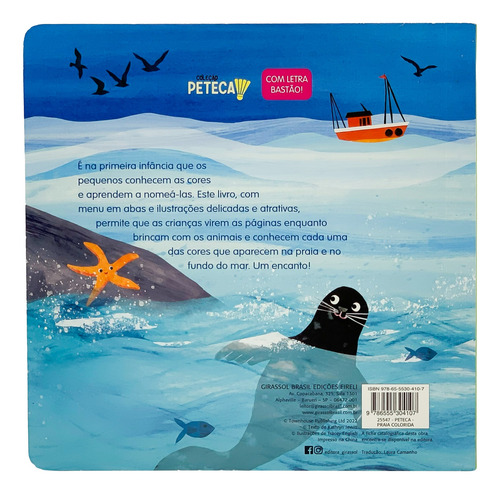Peteca - Praia Colorida (livro Editora Girassol)