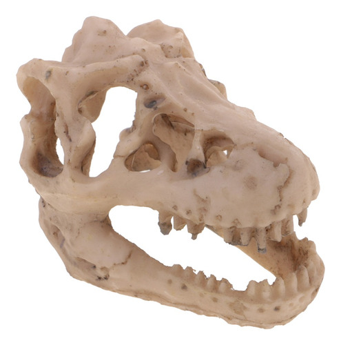 Resina Dinosaurio Cráneo Acuario Decoración Reptil Pecera