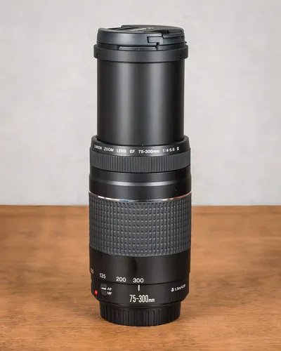 Lente Canon EF 75-300mm f/4-5.6 III | Parcelamento sem juros