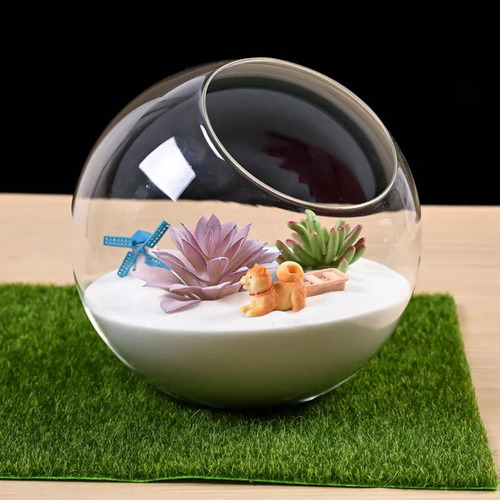 Jarrón De Cristal Para Terrario, Diseño Diámetro 15cm