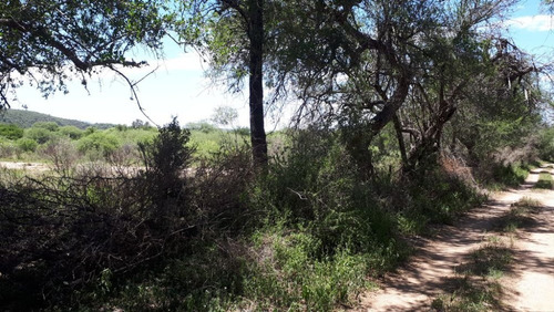 Imagen 3 de 14 de Vendo Lotes De 1000-1500 M² En El Rincón - San Marcos Sierra