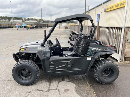Imagen 3 de 9 de 2021 Hisun Motors Strike 250 Utv