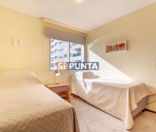 Imagen 11 de 12 de Apartamento En Venta - Brava