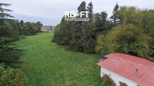 Imagen 6 de 22 de Casa Quinta En Venta De 20000m2 Ubicado En Pedro Luro