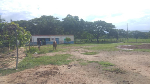 Imagen 4 de 27 de Se Vende Finca Hacienda En Estado Zulia, Ml