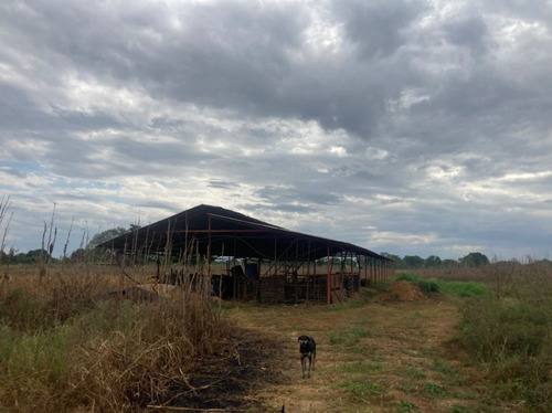 Finca En El Asentamiento Campesino Las Mariposa Plf-003