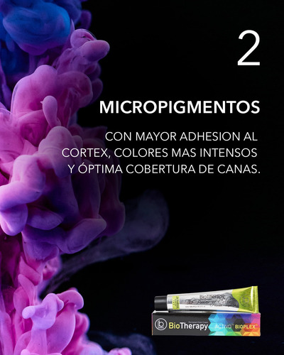 Biotherapy Color X 60grs 48 Unid