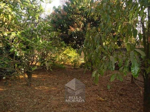 Imagem 7 de 10 de Chácara 2.000 M² Sta Vitória Limeiraxmogi-mirim - Ch-13-1
