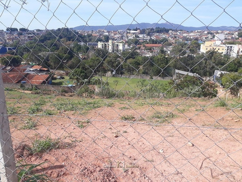 Imagem 7 de 8 de Terreno De 2.746m²ideal Para Investidores - Te0260-1