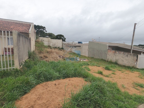 Imagem 6 de 25 de Terreno 12m X 30m, Disponível Para Venda No Bairro Gralha Azul, Na Fazenda Rio Grande! - Te00103 - 70075859