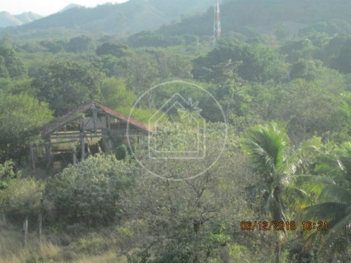 Imagem 9 de 12 de Terreno - Ref: 828091