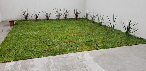 Imagen 6 de 30 de Local En La Plata - 137 E/ 47 Y 49 - Dacal Bienes Raices