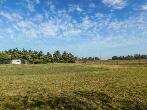 Imagen 11 de 14 de Lotes En Venta, 10.400 M2 Con Construcción Y Pileta. Tandil
