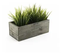 Comprar Cys Excel Maceta Maceta De Madera Maceta Suculenta Maceta De