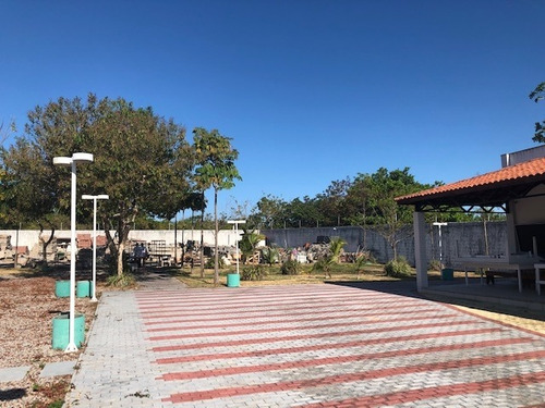 Terreno Para Alugar Na Cidade De Eusebio-ce - L12448