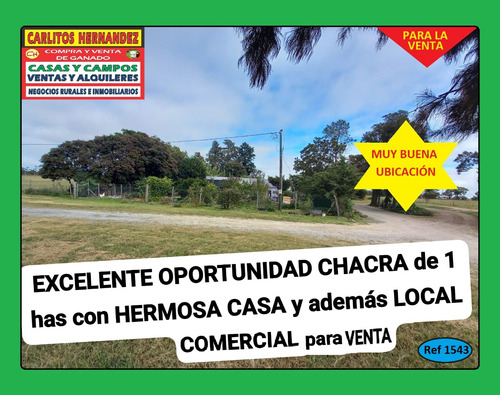 Ref 1543) ** V - Excelente Oportunidad Chacra De 1 Hectárea Con Casa Para La Venta Enfrente A La Ruta 3 En San José