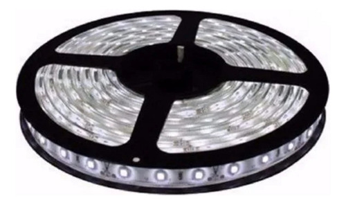 15 Fita Led 5050 Ip20 6000k Bf + 15 Fita Led 5050 Ip20 Azul