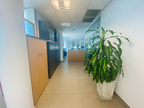 Venta Oficinas Premium - 100% Financiadas + Pago Con Cesecha