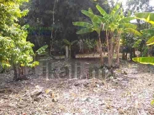 Imagen 4 de 16 de Venta De Terreno 690.51 M² Colonia Gabino Gonzalez Álamo Veracruz. Ubicado En Avenida Principal J.l. Garizurieta Colonia Gabino Gonzalez En El Municipio De Álamo Veracruz, Cuenta Con Una Superficie P