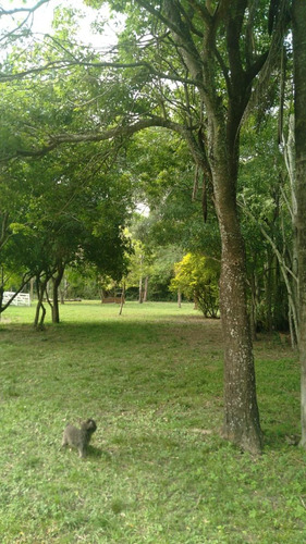 Campo En Venta - 20.000mts2 - Corrientes