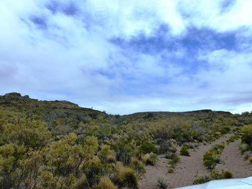 Inmobiliaria Comodoro - Campo 5.000 Has Listo Para Producir - Aguadas Naturales