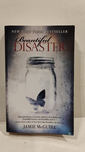 Beautiful Disaster - Jamie Mcguire - Atria