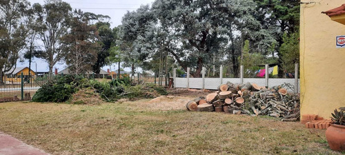 Imagen 10 de 10 de Limpiezas De Montes Y Terrenos En General