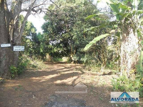 Imagem 5 de 7 de Chácara Residencial À Venda, Sítio Adriana, Caçapava. - Ch0045