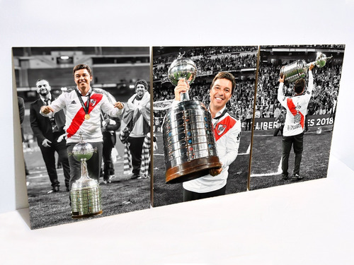 Cuadro Triptico River Plate Campeon Libertadores Xl