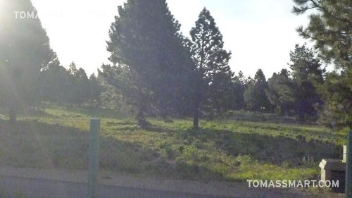 Imagen 4 de 10 de Lote En Country Pinar Del Sol, Bariloche