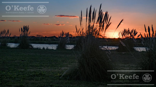 Lote En Venta En Puerto Nizuc - Oportunidad De Inversión En Guillermo Hudson
