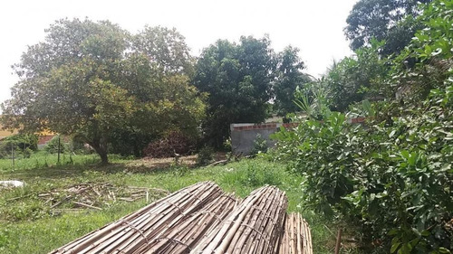 Imagem 5 de 8 de Terreno Para Venda Em Magé, Jardim Da Paz - Mauá - Terrenove_1-1016613