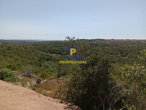 Imagen 4 de 12 de 5 Hectáreas, Entrega 13.000 U$s Y El Saldo En 60 Cuotas