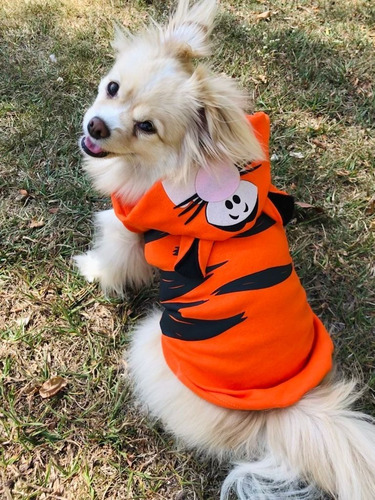 Imagem 6 de 10 de Roupa De Cachorro Pet - Tigrão (ursinho Puf)