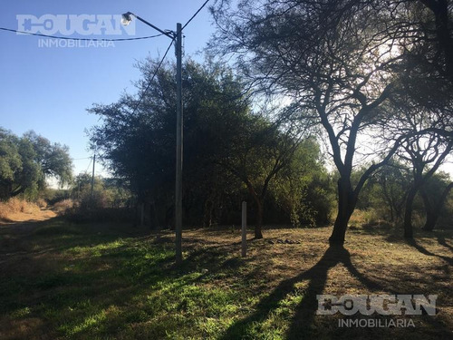 Imagen 6 de 8 de Terreno - Junin