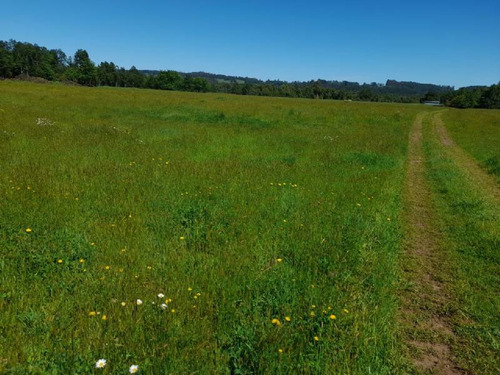 Se Vende Hermoso Campo En La Unión