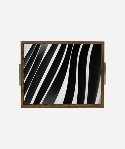 Bandeja Estampada 30x37 - Zebra