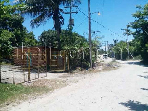 Imagen 10 de 12 de Terreno En Venta Joaquin Hernandez Galicia