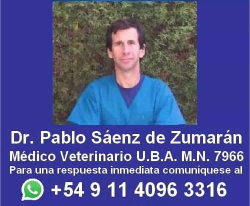 Veterinario Castracion Perras Y Perros , Todos Los Barrios