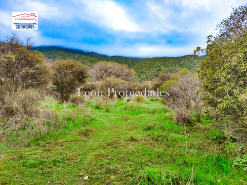 Leon Propiedades Vende O Permuta Parcela En Sector Cuyuncavi
