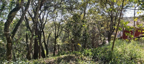 Imagem 12 de 14 de Chácara Em Condomínio Fechado, 25mil M2